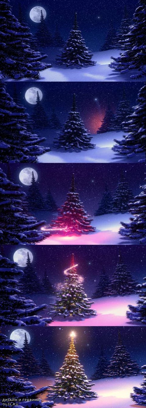 Illuminated Christmas star on the tree