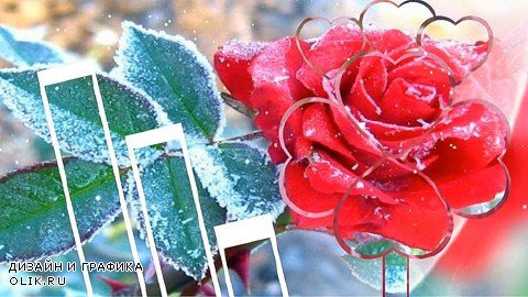 Проект для ProShow Producer - Снег на розах