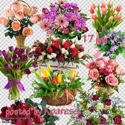 Png клипарт для дизайна - Букеты роз, тюльпанов и других цветов