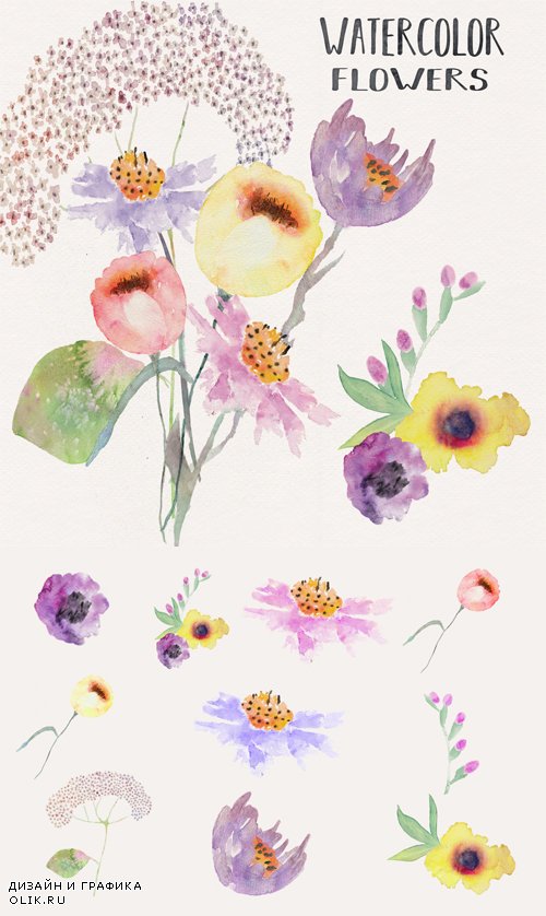 Акварельные цветы - Клипарт PNG на прозрачном фоне
