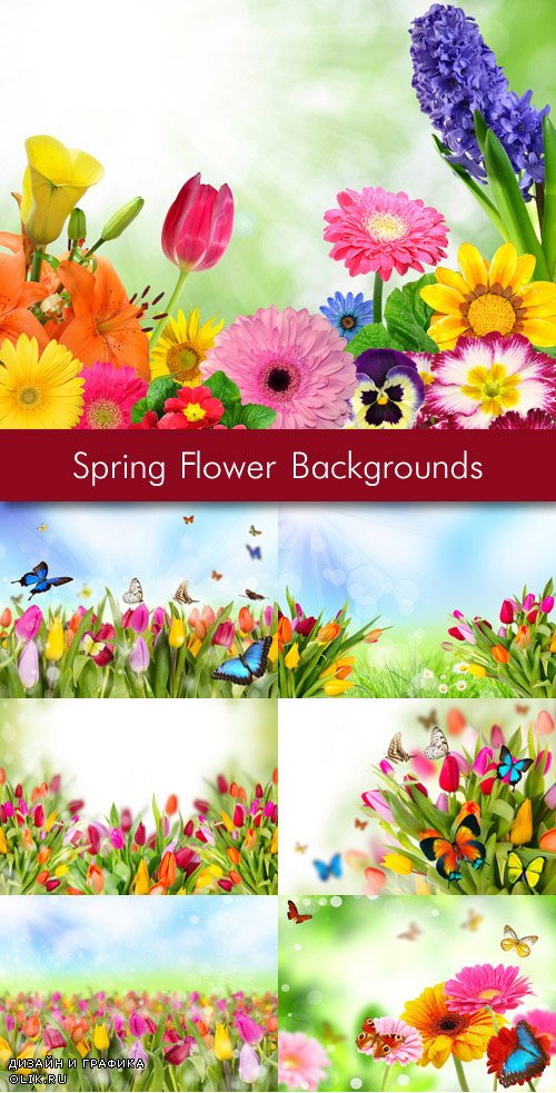 Весенние цветочки - яркие красивые фоны с разными цветами