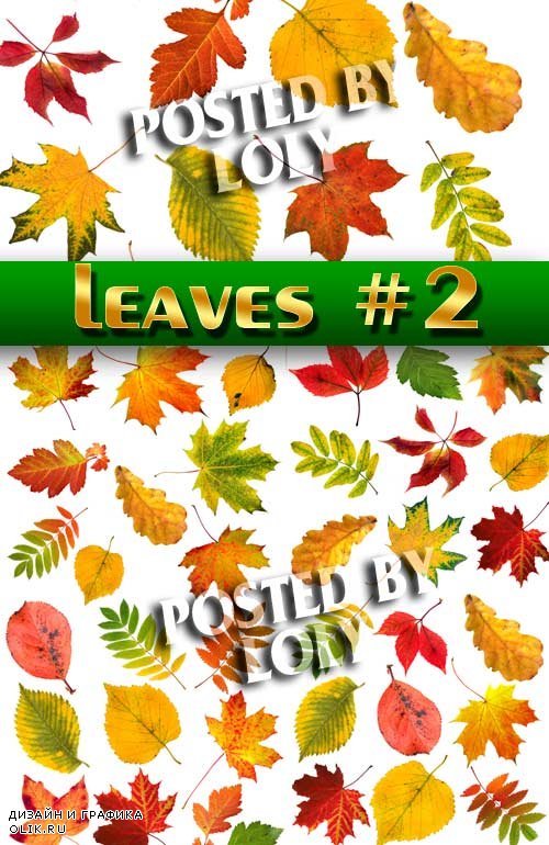 Осенние листья #2 - Растровый клипарт