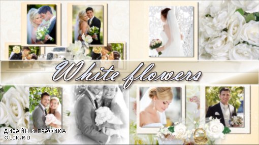 White flowers - project for ProShow Producer