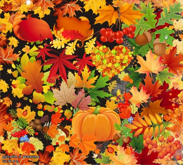 Осенние листья: клипарт на прозрачном фоне. 45 png.