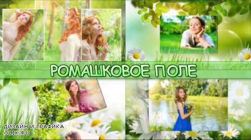 Ромашковое поле - project for ProShow Producer