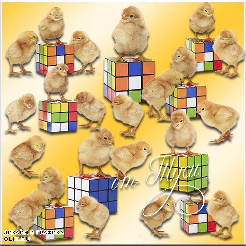 Цыплята и кубик-рубик - Клипарт