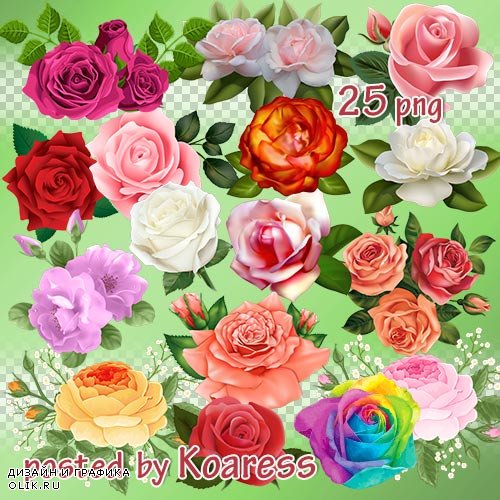 Цветочный png клипарт для дизайна - розы и композиции с розами