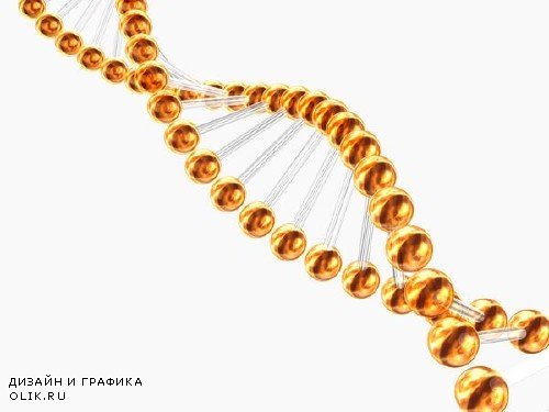 Анатомия человека: ДНК (подобрка изображений)
