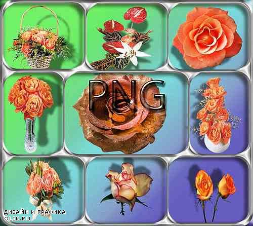 Клипарты png - Оранжевые розы
