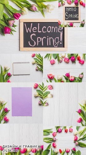 Весенние фоны с тюльпанами / Spring backgrounds with tulips