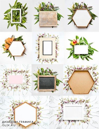 Фоны с цветочными рамками / Backgrounds with flower frames