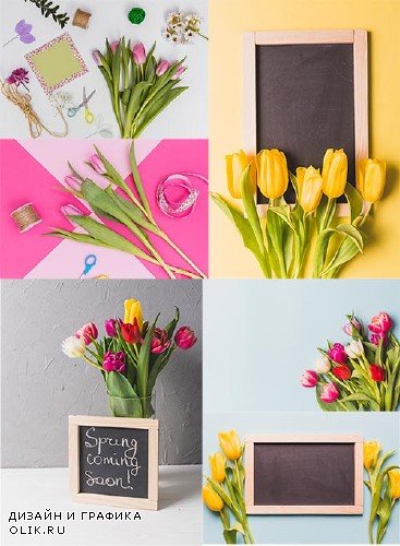 Весенние фоны с тюльпанами и рамками / Spring backgrounds with tulips and frames