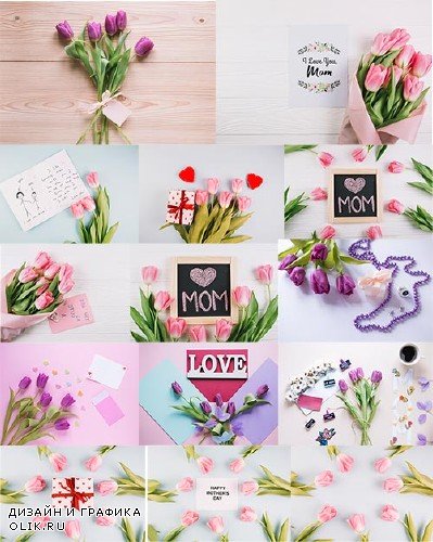 Фоны с тюльпанами для поздравлений / Backgrounds with tulips for congratulations