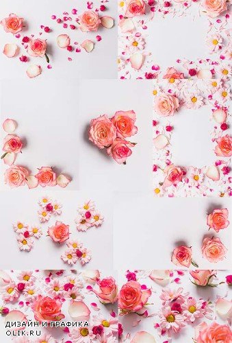 Прекрасные розы - Клипарт / Beautiful roses - Clipart