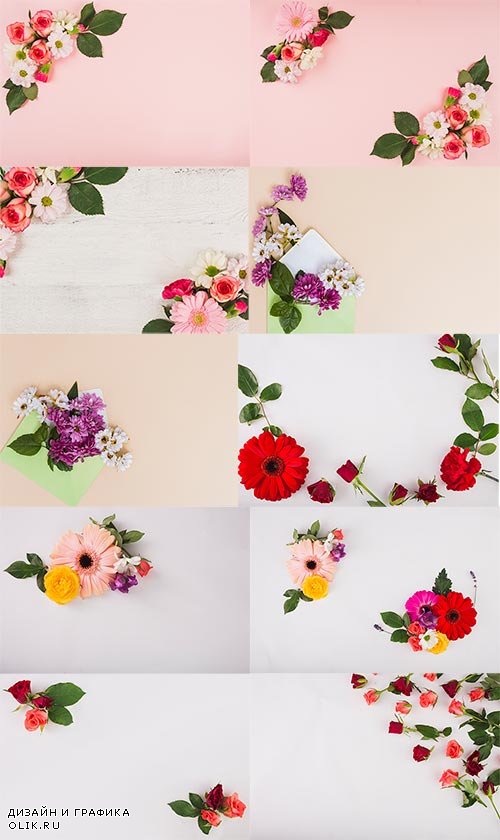 Цветочные фоны / Flower backgrounds