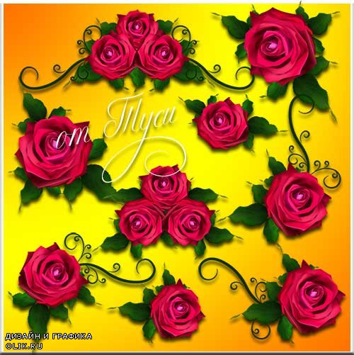 Нежные розы - Клипарт / Tender roses - Clipart