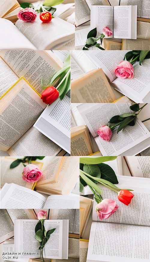 Тюльпан в раскрытой книге - Клипарт / Tulip in an open book - Clipart