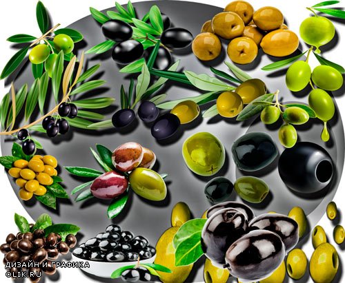 Качественные клип-арты - Черные и зеленые оливки