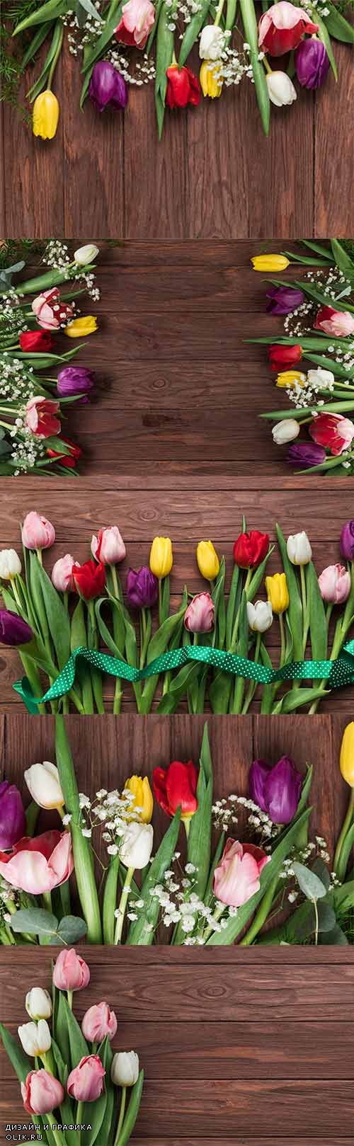 Фоны с красивыми тюльпанами - Растровый клипарт / Backgrounds with beautiful tulips - Raster clipart