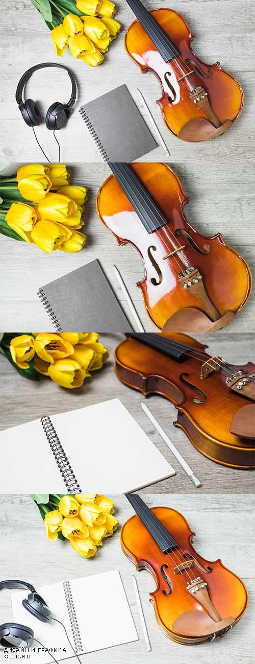 Фоны со скрипкой и тюльпанами - Растровый клипарт / Backgrounds with violin and tulips - Raster clipart
