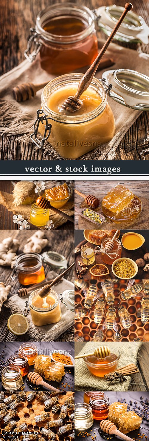 Honey and bees in honeycombs useful delightful dessert