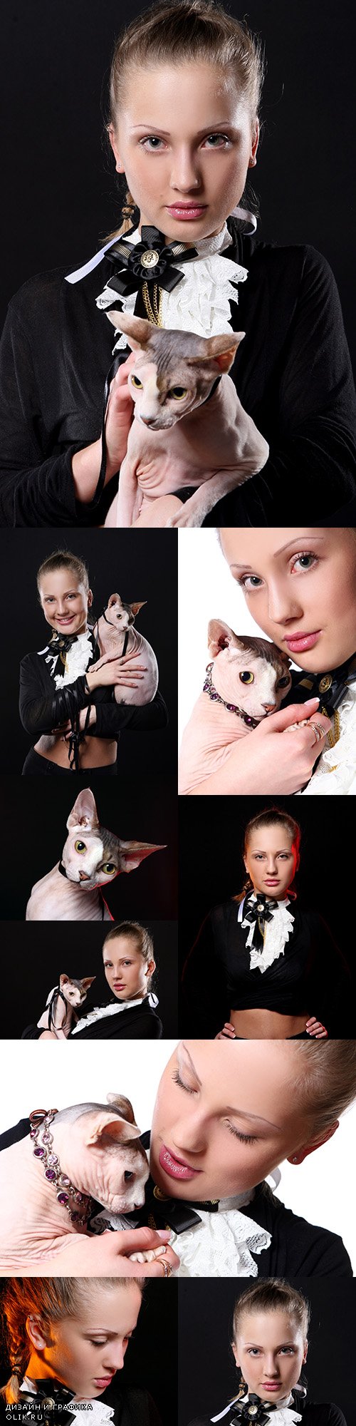 Attractive young girl with cat on her hands
