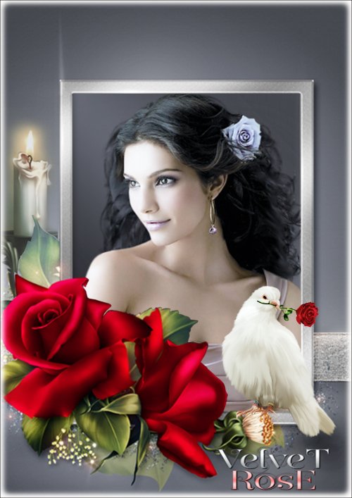 Рамка для Фотошопа - Бархатная роза