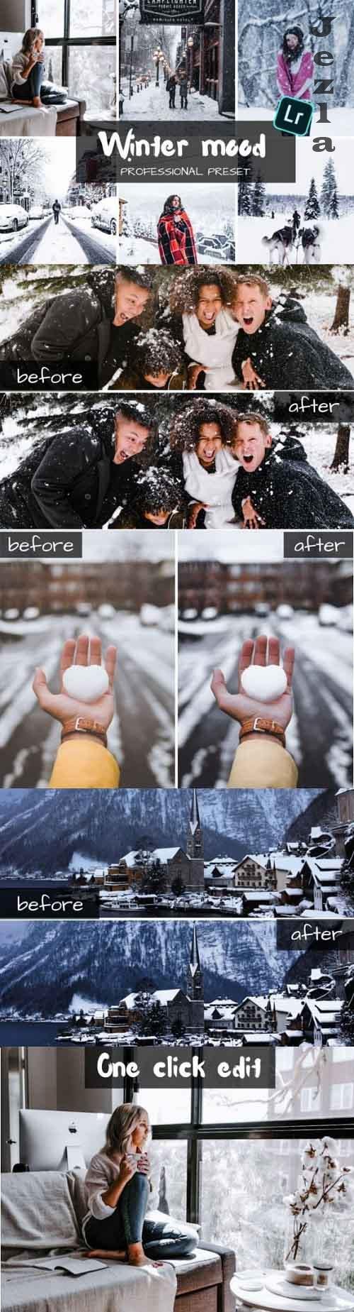 Winter Mood & Desktop Lightroom Presets Winter Mood & Desktop Lightroom Presets