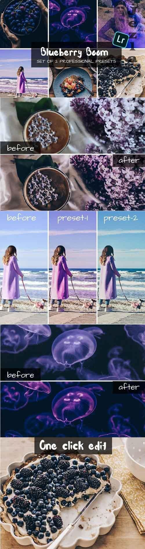 2 Blueberry Boom Professional Lightroom Presets | Blogger - 570975 2 Blueberry Boom Professional Lightroom Presets | Blogger - 570975