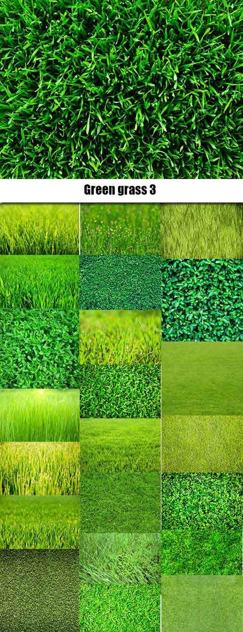 Green grass 3