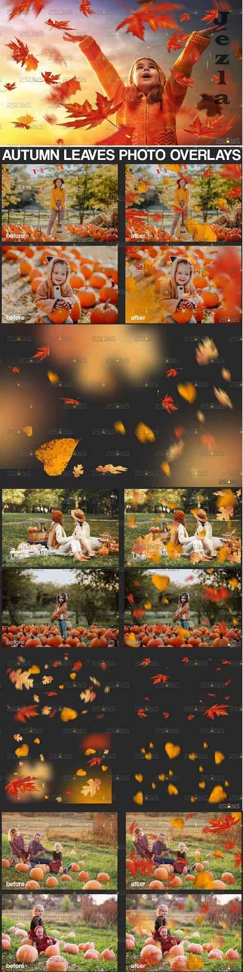 Autumn leaf overlay & PHSP overlay Fall overlay - 895365