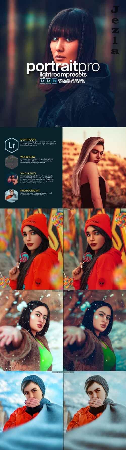 Portrait Pro Lightroom Preset 28067598 Portrait Pro Lightroom Preset 28067598
