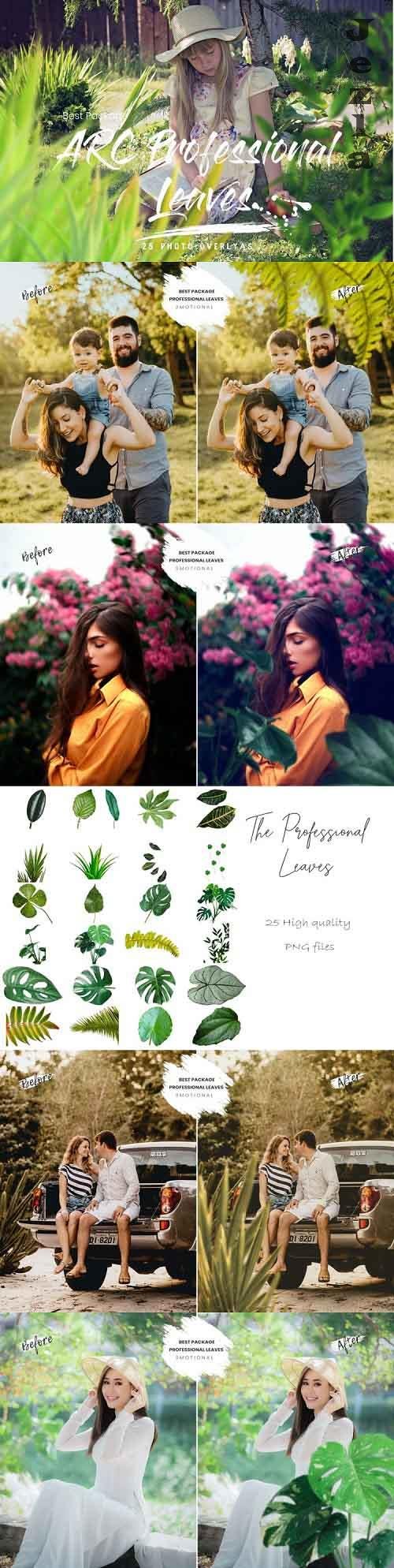 Corporate Lightroom Presets 5346758 Corporate Lightroom Presets 5346758