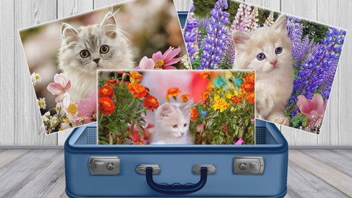 Проект ProShow Producer - Pictures from Suitcase