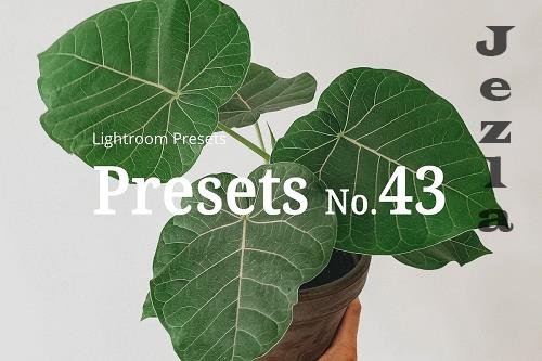 10 Light Botanical Lightroom Presets 5351307 10 Light Botanical Lightroom Presets 5351307