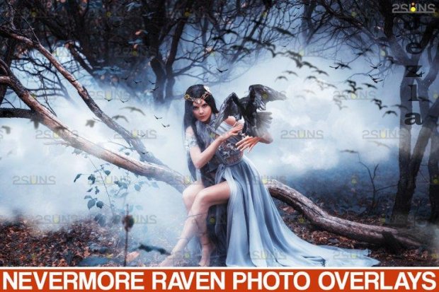 50 Halloween overlay Photoshop overlay Realistic raven - 934530 50 Halloween overlay Photoshop overlay Realistic raven - 934530