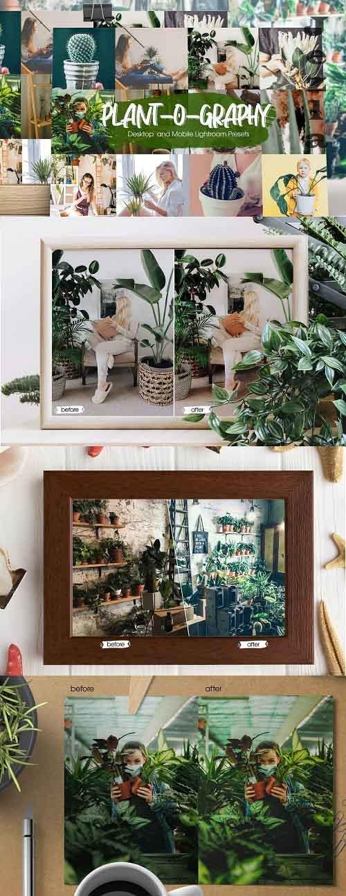 Plant-o-graphy Lightroom Presets - 5301680 Plant-o-graphy Lightroom Presets - 5301680