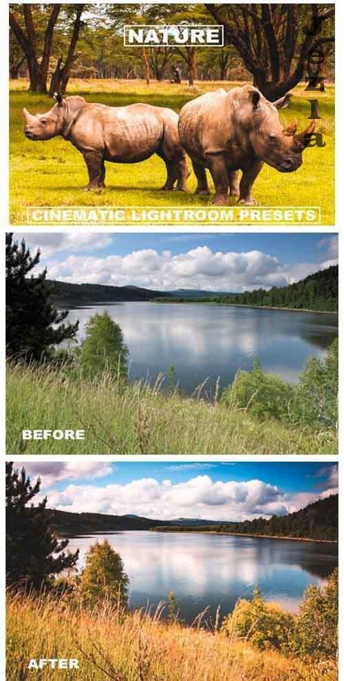 Cinematic LRM Presets Nature Tone
