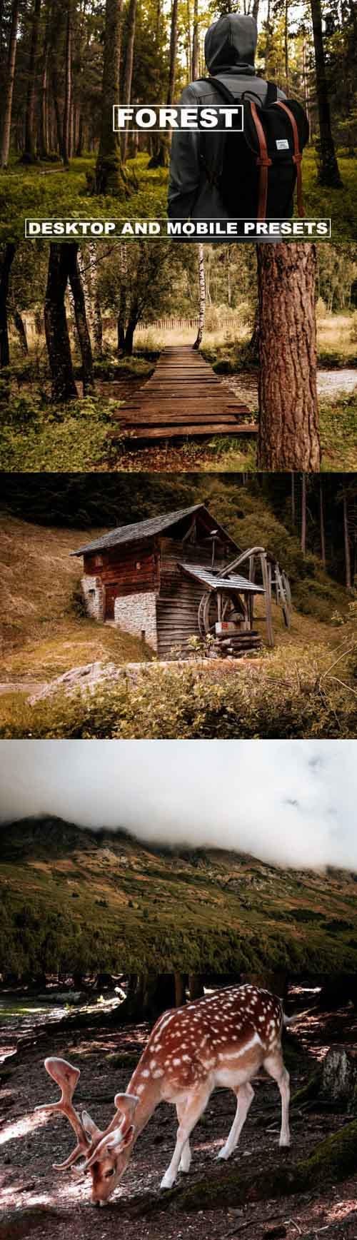 Lightroom Presets Dark Tones Forest Lightroom Presets Dark Tones Forest