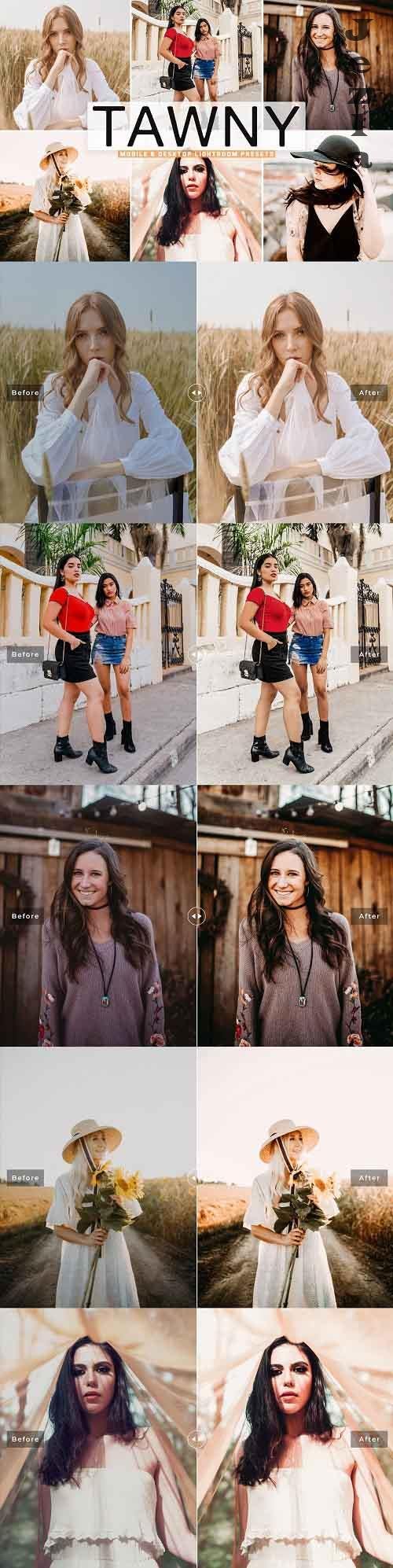 Tawny Pro LRM Presets - 5523451