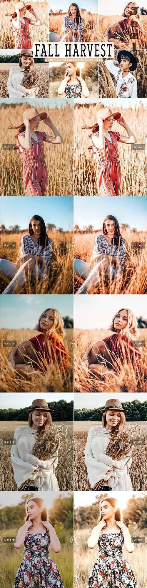 Fall Harvest Pro Lightroom Presets - 5534525 - Mobile & Desktop Fall Harvest Pro Lightroom Presets - 5534525 - Mobile & Desktop
