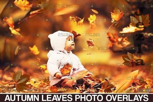 Autumn leaves overlay & Falling leaf, Photoshop overlay - 950553 Autumn leaves overlay & Falling leaf, Photoshop overlay - 950553