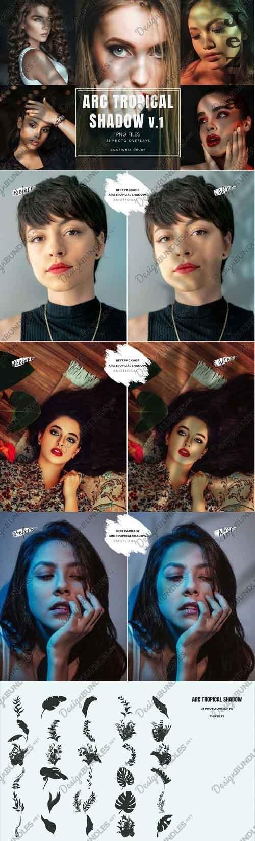31 Arc Real Tropical Shadow Overlays, Photoshop Reflection - 1006845 31 Arc Real Tropical Shadow Overlays, Photoshop Reflection - 1006845