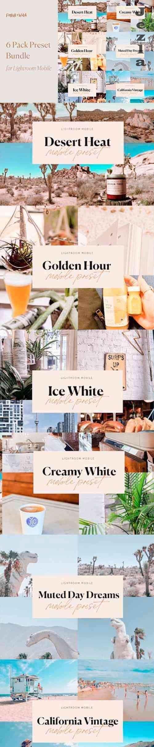 CreativeMarket - 6 Pack LRM Preset Bundle 5487364