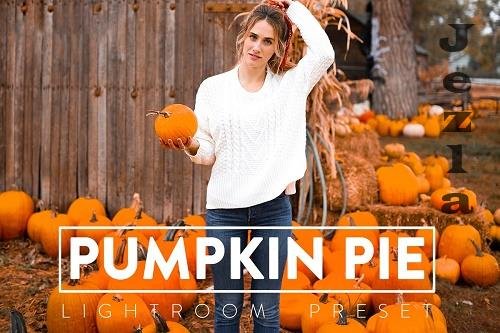 CreativeMarket - 10 PUMPKIN PIE LRM Preset 5568485