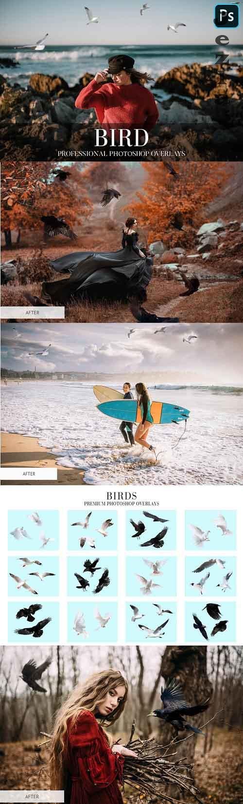 CreativeMarket - Bird Overlays Photoshop 4934539 CreativeMarket - Bird Overlays Photoshop 4934539