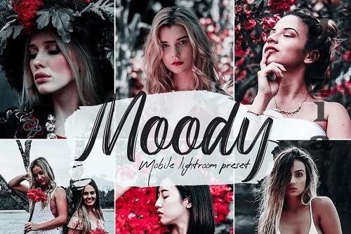 Moody Lightroom Presets - 5607895 Moody Lightroom Presets - 5607895