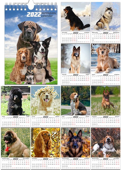 Настенный календарь на 2022 год - Породы собак