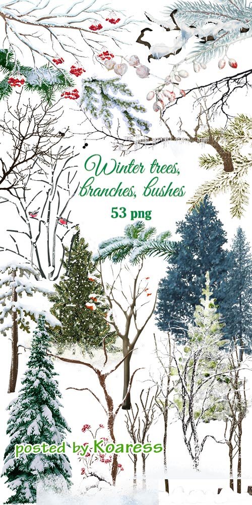 Клипарт png - Зимние деревья, заснеженные кусты и ветки