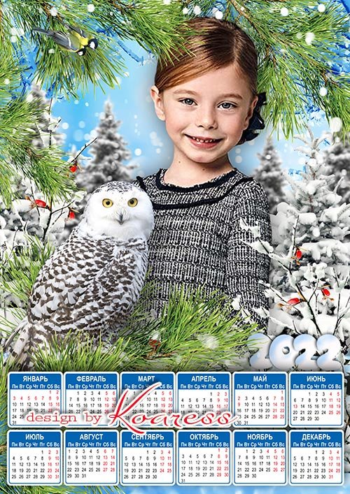 Календарь на 2022 год с совой для фото с детской фотосессии - В зимнем лесу